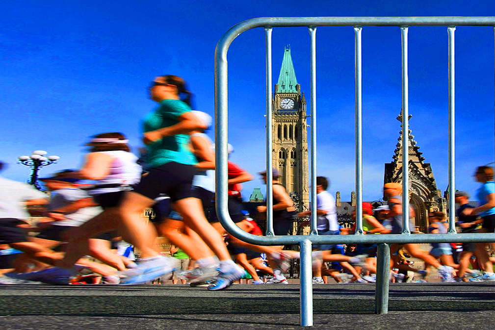 Crowd Barriers/Crowd Control Fencing